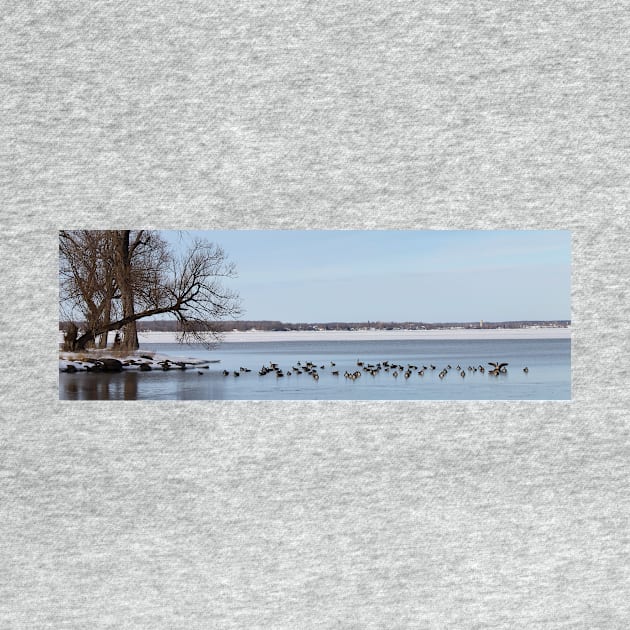 Jetty of Geese by photoclique